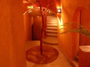 Fotografie z fotogalerie ubytování Kactus Lodge v destinaci Pointe-Noire