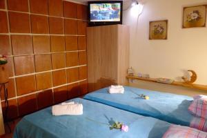 a room with a blue bed with a tv on the wall at Athens Glyfada Studio in Athens