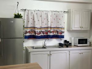 eine Küche mit einer Spüle und einem Kühlschrank in der Unterkunft Cozy Quarters Tobago in Scarborough