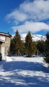une cour enneigée avec des arbres et une maison dans l'établissement Appartment View Lake Salta, à San Carlos de Bariloche