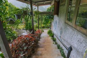 清邁的住宿－Muangkham Cabin，通往种植了植物的温室的走道