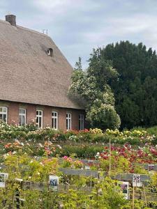 Vierländer Hippiehof في هامبورغ: منزل أمامه حديقة من الزهور
