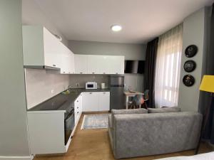 sala de estar con sofá y cocina en DM Apartments, en Tirana