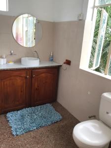 ein Badezimmer mit einem Waschbecken, einem WC und einem Spiegel in der Unterkunft Villa Paille en Queue in Flic-en-Flac