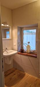 a bathroom with a sink and a window with a plant at Villa Aurora Sotto Le Stelle in Torre Pellice