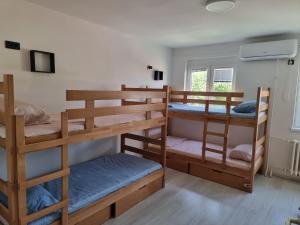 una stanza con tre letti a castello e una finestra di Bgd Downtown Hostel a Belgrado