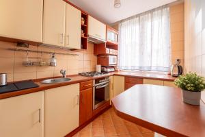 a kitchen with a sink and a counter top at Student District in the Heart of Łódź&Free Parking in Łódź