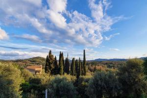 Příroda nedaleko apartmánu