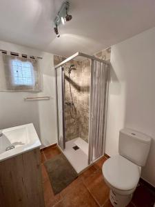 een badkamer met een douche, een toilet en een wastafel bij Casa Puebla Arenoso I Rental Holidays REF. 064 in Puebla de Arenoso