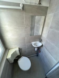 a small bathroom with a toilet and a sink at CHARMANT STUDIO REFAIT À NEUF in Ivry-sur-Seine
