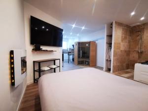 a bedroom with a white bed and a flat screen tv at Le Temple du SPA in Vienne