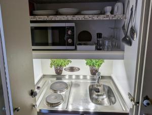 kuchnia ze zlewem i kuchenką mikrofalową w obiekcie Chill Out Apartment Bergblick w mieście Hahnenklee-Bockswiese