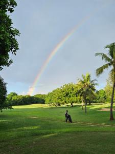 a rainbow over a park with a person and a dog at Becky Homes Diani Beach - 2BR with AC & Pool in Diani Beach