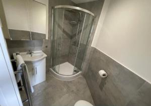 a bathroom with a shower and a toilet and a sink at Webberley Stylish and Spacious Studio Unit in Stoke on Trent in Stoke on Trent