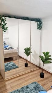 a room with two potted plants in front of a mirror at Big Base Apartment in Budapest