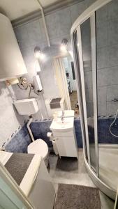 a bathroom with a toilet and a sink and a shower at Big Base Apartment in Budapest