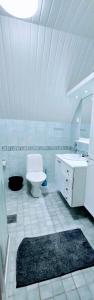 a white bathroom with a toilet and a sink at Rauma Room's House 9 200m2 in Rauma