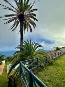 uma palmeira ao lado de uma cerca azul em Villa Media Luna con vistas a La Palma by Alterhome em La Galga