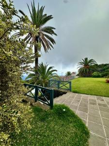 een groene bank in een park met een palmboom bij Villa Media Luna con vistas a La Palma by Alterhome in La Galga