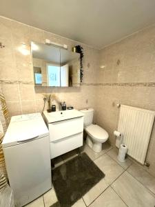 uma casa de banho com um WC, um lavatório e um espelho. em T2 La roseraie em Chambéry