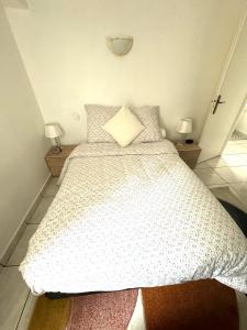 um quarto com uma cama grande e 2 candeeiros em T2 La roseraie em Chambéry