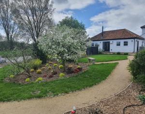 einen Garten vor einem Haus mit einem blühenden Baum in der Unterkunft River Cottage in Stoke Ferry