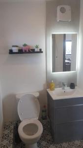 een badkamer met een toilet, een wastafel en een spiegel bij Hogan's Cottage in Ennistymon