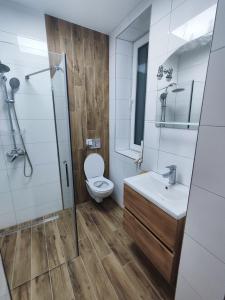 uma casa de banho com um WC, um lavatório e um chuveiro em U Janka Trzeciego 6 Sauna & Jacuzzi em Oleszyce