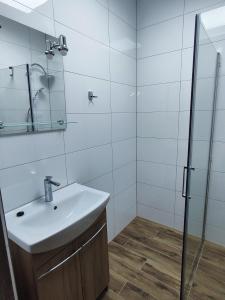 uma casa de banho com um lavatório e um chuveiro em U Janka Trzeciego 6 Sauna & Jacuzzi em Oleszyce