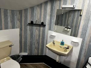 uma casa de banho com um lavatório, um WC e um espelho. em Black Bull Hotel em Reeth