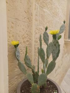 Foto dalla galleria di All'1 di Rajno' Relaxing ApartHotel a Lecce