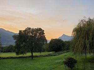 a tree in a field with mountains in the background at Das spezielle Ferienhaus Heidi - b48536 in Maienfeld