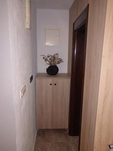 a hallway with a plant sitting on top of a cabinet at Apartments Calimero in Mostar