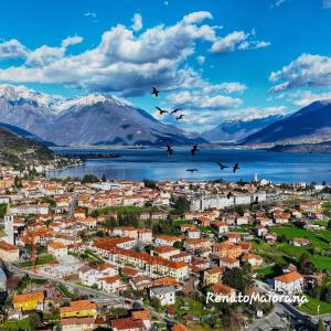 a group of birds flying over a town next to a body of water at Robertalagocomo in Gravedona