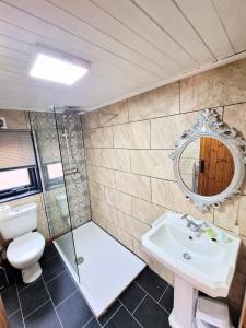 a bathroom with a toilet and a sink and a mirror at Otter 2 HuntersMoon- Warminster-Wiltshire-Bristol in Warminster