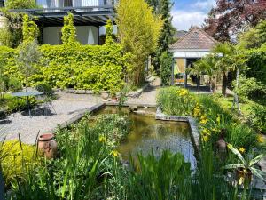 un jardín con un estanque frente a una casa en Teichhäuschen Cyprinus, en Aarau