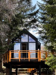 ノヴァ・ヴァロシュにあるKuća na drvetu - Zlatar Hill - Treehouseの木のある森の小屋