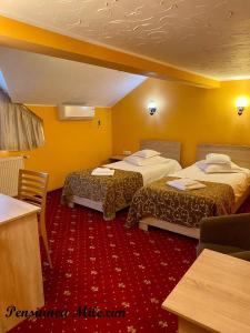 a hotel room with two beds and a red carpet at Pensiunea Milexim in Cîmpia Turzii