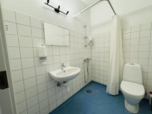 W łazience znajduje się umywalka, toaleta i lustro. w obiekcie aday - Randers cozy 1 bedroom apartment w mieście Randers