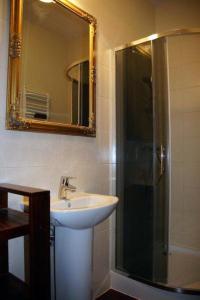 La salle de bains est pourvue d'un lavabo et d'une douche avec un miroir. dans l'établissement Apartament Józefinka w Willi Józefina, à Szklarska Poręba