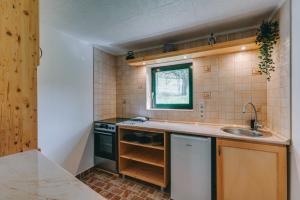 een kleine keuken met een wastafel en een fornuis bij Feher Barany Apartment in Szigliget