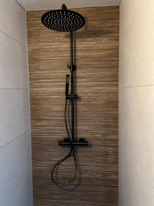 a shower in a bathroom with a wooden wall at B&B Tiny House Bij Zee in Stellendam +39 photos