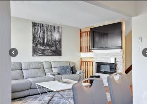 uma sala de estar com um sofá e uma televisão em Lush Abode! Close to ottawa airport.2 spacious bedrooms em Ottawa