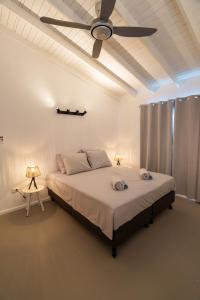 a bedroom with a large bed with a ceiling fan at Villa Seru JanThiel in Jan Thiel +20 photos