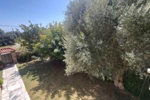 Φωτογραφία από το άλμπουμ του Βίλα Χαρά στην Ερέτρια