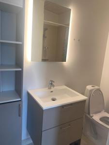 a bathroom with a sink and a toilet and a mirror at Sportsby Vejen - Danhostel, huse og lejligheder in Vejen