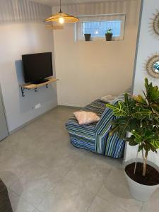 uma sala de estar com um sofá e uma televisão de ecrã plano em Appartement cocooning a ruaux em Plombières-les-Bains