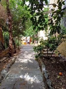 a tree lined street with an alley with trees at Romeo suite in Haifa