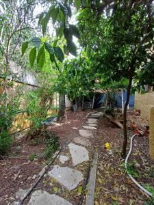 um jardim com um caminho de pedra e uma árvore em Romeo suite em Haifa