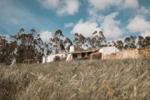 Φωτογραφία από το άλμπουμ του Muxima - Aljezur σε Aljezur